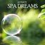 Ultimate Spa Dreams and Relaxation Music Best of Spa Music Relaxation Meditation