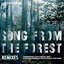 Song from the Forest (Remixes)