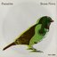 Bossa Nova