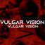 Vulgar Vision