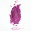 The Pinkprint (International Deluxe Explicit) [Explicit]