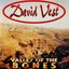 Valley of the Bones