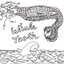 Whale Tooth EP