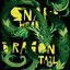Snake Head Dragon Tail