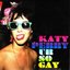 Ur So Gay (Maxi-Single)