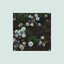 Murmur - EP