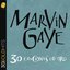 Marvin Gaye 30 Canciones De Oro