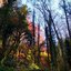 Seasons Change