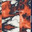 Metamorphosis Pt. 1 - EP