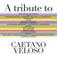 A Tribute To Caetano Veloso