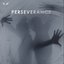 Perseverance
