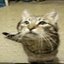 careless whiskers
