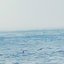 Ocean View