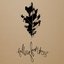 Falling From Trees [EP]
