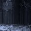 Of Darkness and Solitude