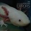 Errors Of The Human Body OST