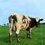 Atom Heart Mother 1970