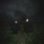 Songs of Wishes and Bones
