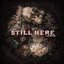 STILL HERE