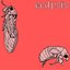 Ecdysis