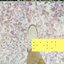 Steps