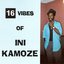 16 Vibes of Ini Kamoze