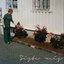 Siste Reis - EP
