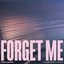 Forget Me (Piano Acoustic) - Single