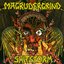 Magrudergrind & Shitstorm SpLit