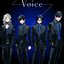 Voice