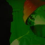 Avatar di SmartPatrol89