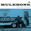 Bluesville Sessions