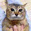 Avatar de deadmau-five