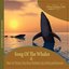 Song of the Whales: Authentic Nature Sounds (Music for Therapy, Deep Sleep, Meditation, Spa, Healing & Relaxation)