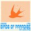 Birds Of Paradise