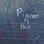 pigeon hole