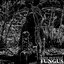 Fungus - EP