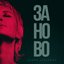 Заново