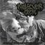 Memories Of Violent Rotten Chapters