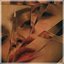Girls with Knives - Single