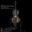 Amplified: A Decade of Reinventing the Cello (disc 1)