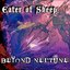 Beyond Neptune