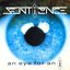 An Eye for an I