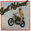 The Ballad Of Evel Knievel