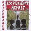 Expedient Asfalt