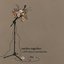 Torches Together: A DIY Tribute To mewithoutYou