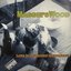 Love In A Mexican Restaurant [Explicit]