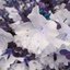 Blooms For Piano - EP