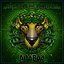 Anaboa