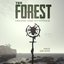 The Forest